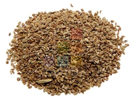 بذور الكراوية (10 كجم)