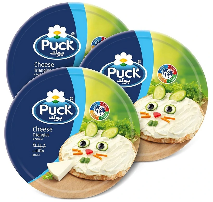 Cheese Triangle 16*360gm Puck