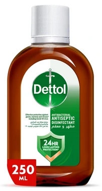Dettol Liquid (Original) 24*250ml
