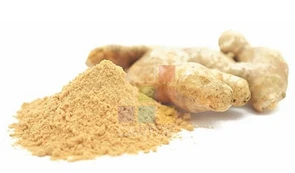 Ginger Powder 1*10Kg