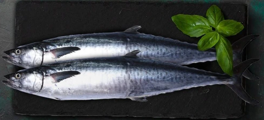 Frozen King Fish Whole 1*20Kg