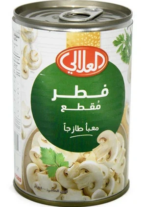 Mushroom Slice 24*400gm Alalali