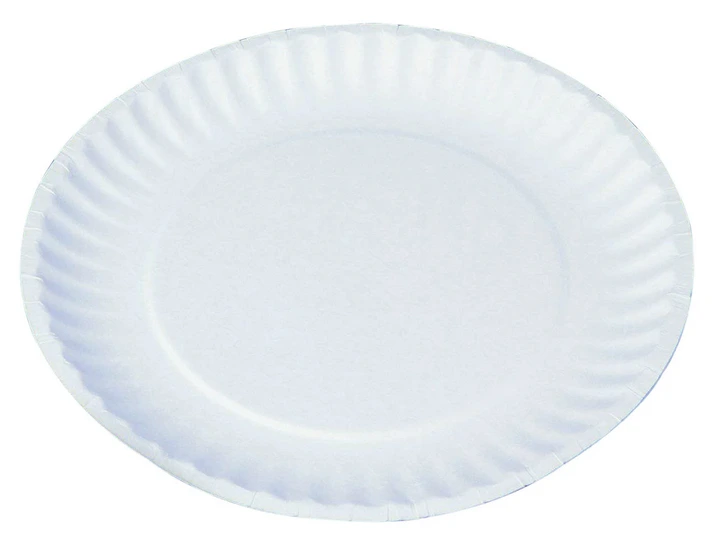 Paper Plate # 9