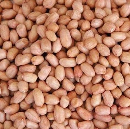 Peanut Kernel 1*15Kg India