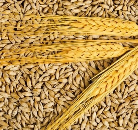 جاريش تركيا 1 * 10  كجم