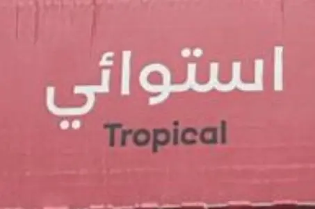 شاي زوي المثلج الاستوائي 24 * 320  مل