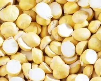 Roasted Gram Split (Phulla Chana) 1*15Kg