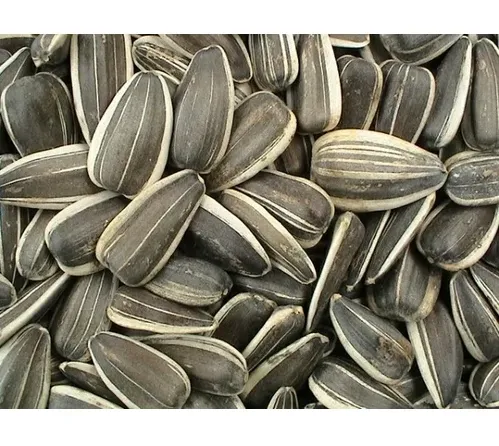 Sunflower Seeds Salted 1Kg
